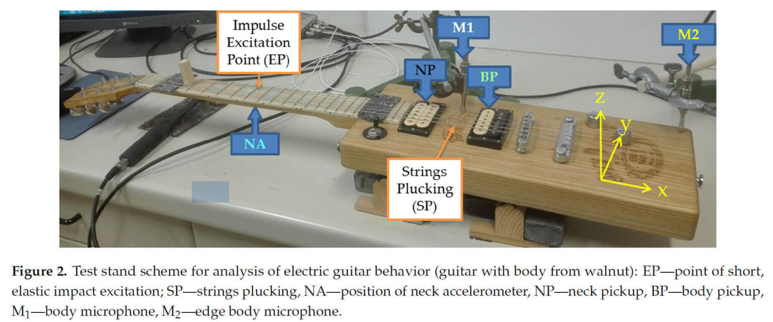 Electric guitars Why ash bodies sound 'better' than walnut Inside Guitar